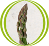 esparrago